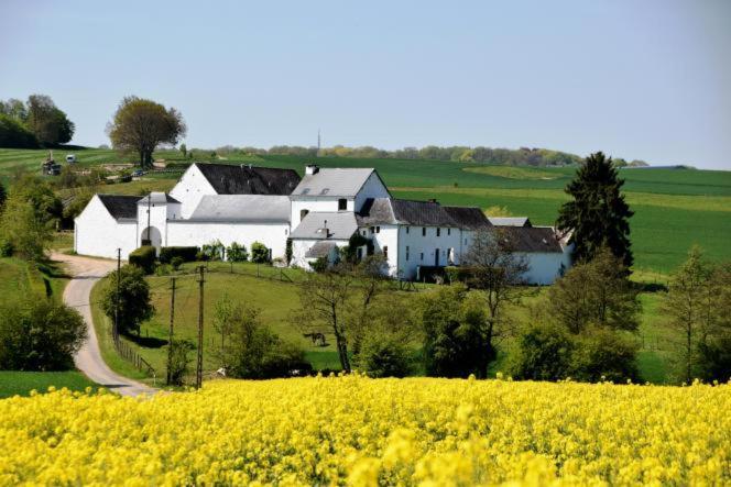 La Ferme De Basseilles Guest House Mozet ภายนอก รูปภาพ